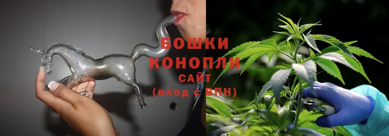 сколько стоит  Бронницы  Канабис OG Kush 